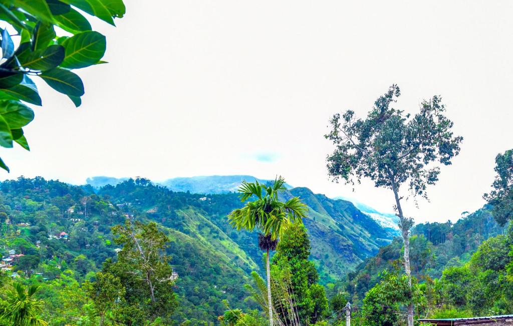 a view of a mountain range with palm trees at Ella Nimal Nest Inn in Ella