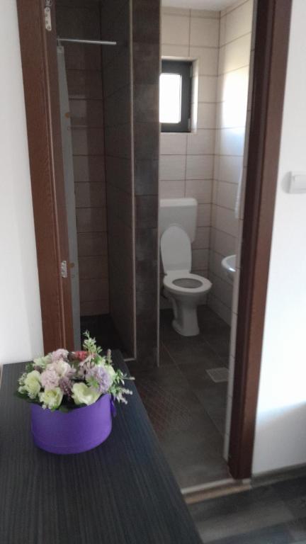 Vannituba majutusasutuses Apartamente Ambrus E Studio 21 Praid