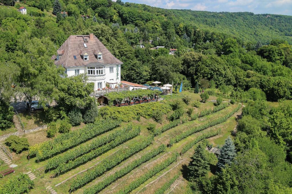 an aerial view of a house and a vineyard at Flair Hotel Villa Ilske in Bad Kösen