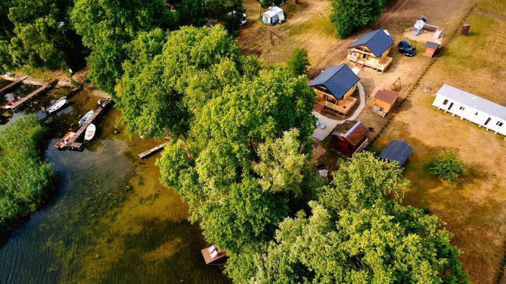 - une vue aérienne sur un terrain de camping avec des arbres et de l'eau dans l'établissement SŁODKA WODA NIEBIESKI Domek, à Lubieszewo