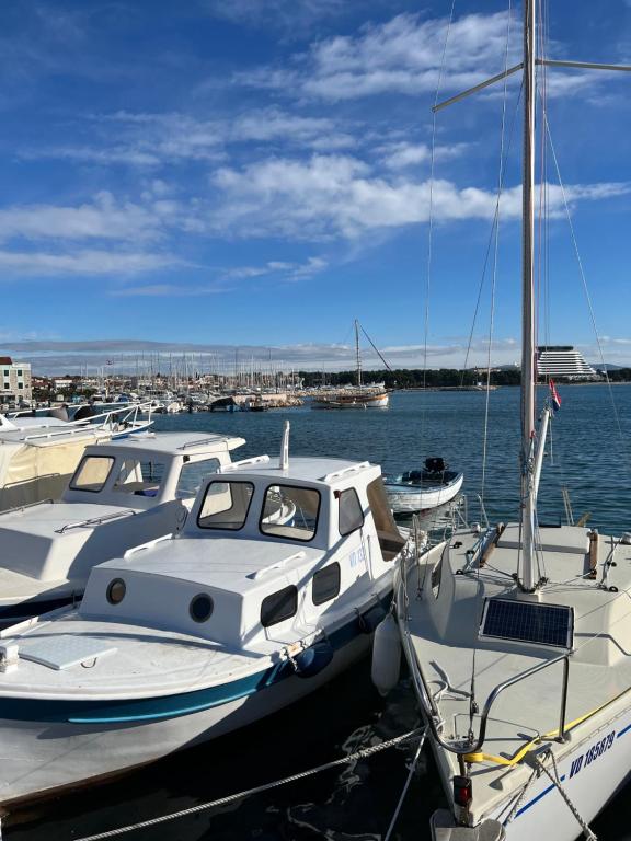 a group of boats docked in a harbor at Leyla in Vodice