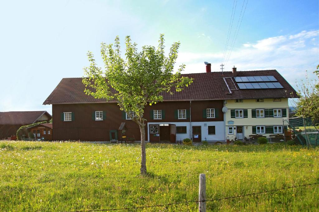 una casa con un árbol en medio de un campo en Andreashof en Heimenkirch