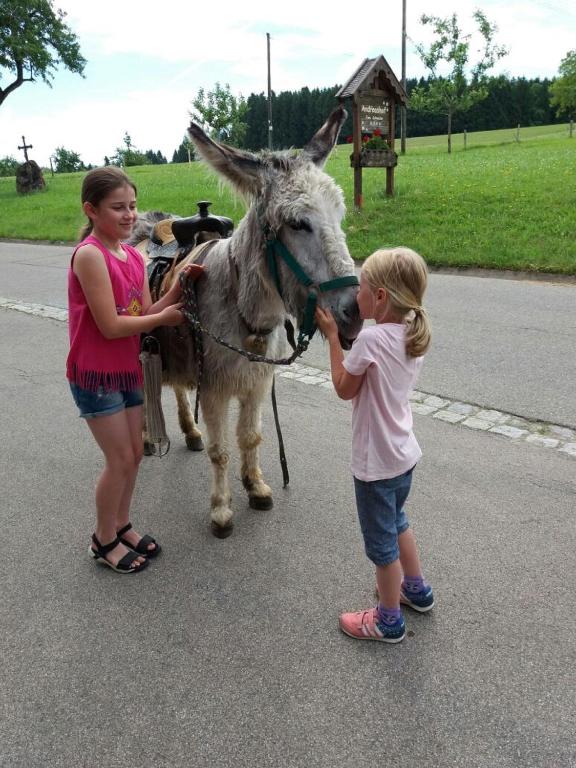 Zvířata v farmy nebo okolí