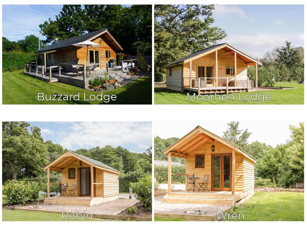 4 vistas diferentes a una cabaña de madera en Acksea Holiday Lodges, en Kinnerley