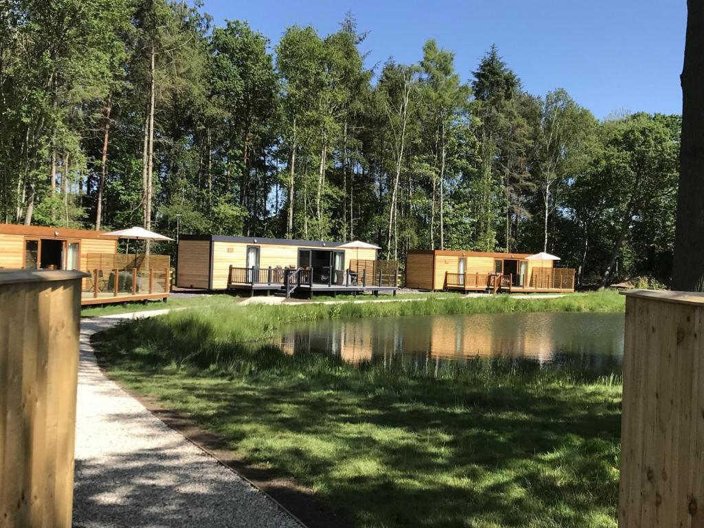 a group of lodges next to a lake at Rowan Boutique Lodge for couples with a dog in York