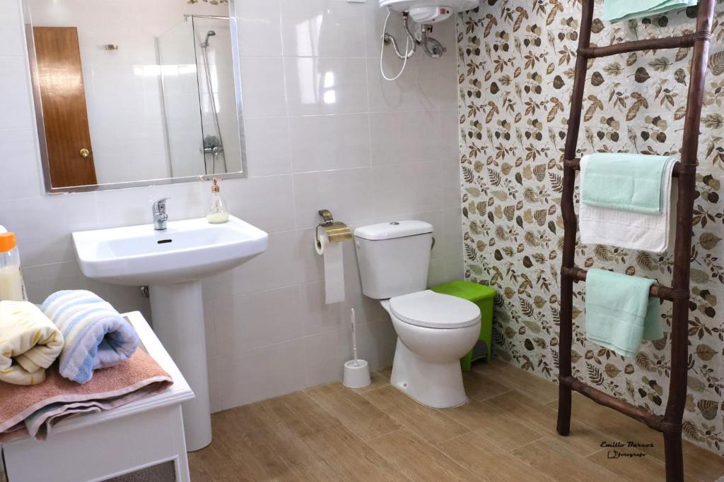 ein Badezimmer mit Toilette, Waschbecken und Spiegel in der Unterkunft ALOJAMIENTO RURAL CASA LOS ARENALES in Córdoba