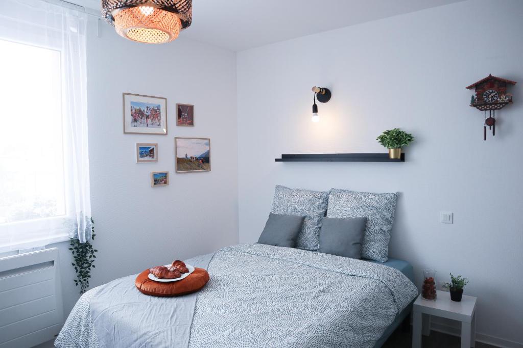 LE PARADIS FISCAL, 5min Bâle, parking privé – photo 27