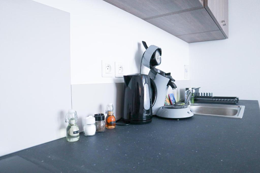 LE PARADIS FISCAL, 5min Bâle, parking privé – photo 29