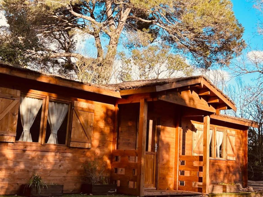 una cabaña de madera con un árbol en el fondo en Chalet bois jacuzzi en Bessan