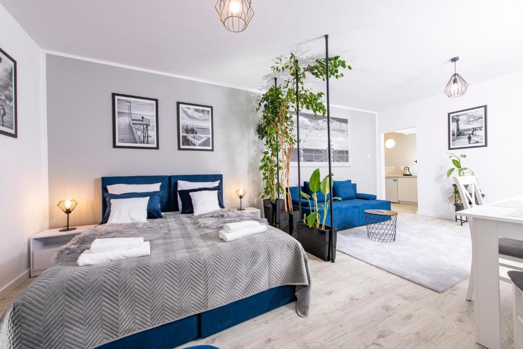 sypialnia z niebieskim łóżkiem i niebieską kanapą w obiekcie Apartamenty Rodzinne w Kołobrzegu