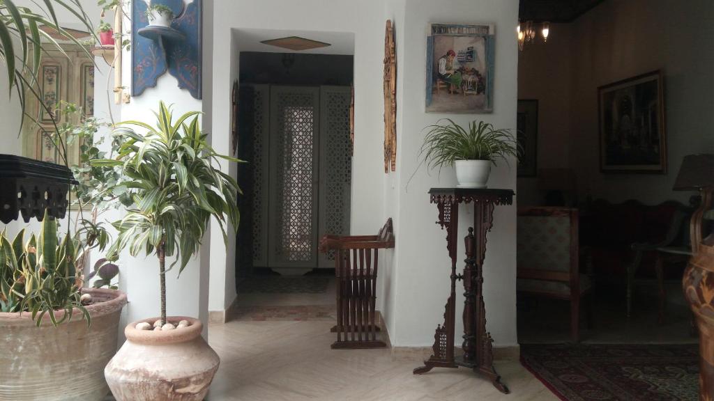 Fotografie z fotogalerie ubytování El Patio Courtyard House v destinaci Tunis