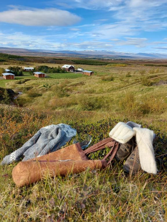 a field with a bag on the ground in the grass at Ásgeirsstaðir Holiday Homes in Ásgeirsstaðir