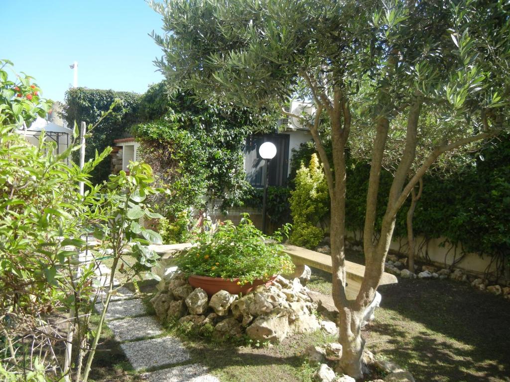 un jardín con un árbol y un camino de piedra en B&B Villa Evelina, en Anzio