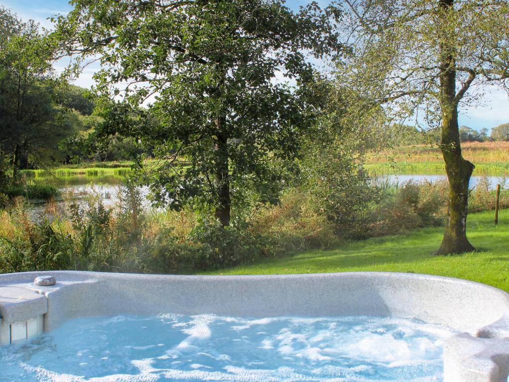 a jacuzzi tub with a view of a lake at The Lodge in Llandeilo