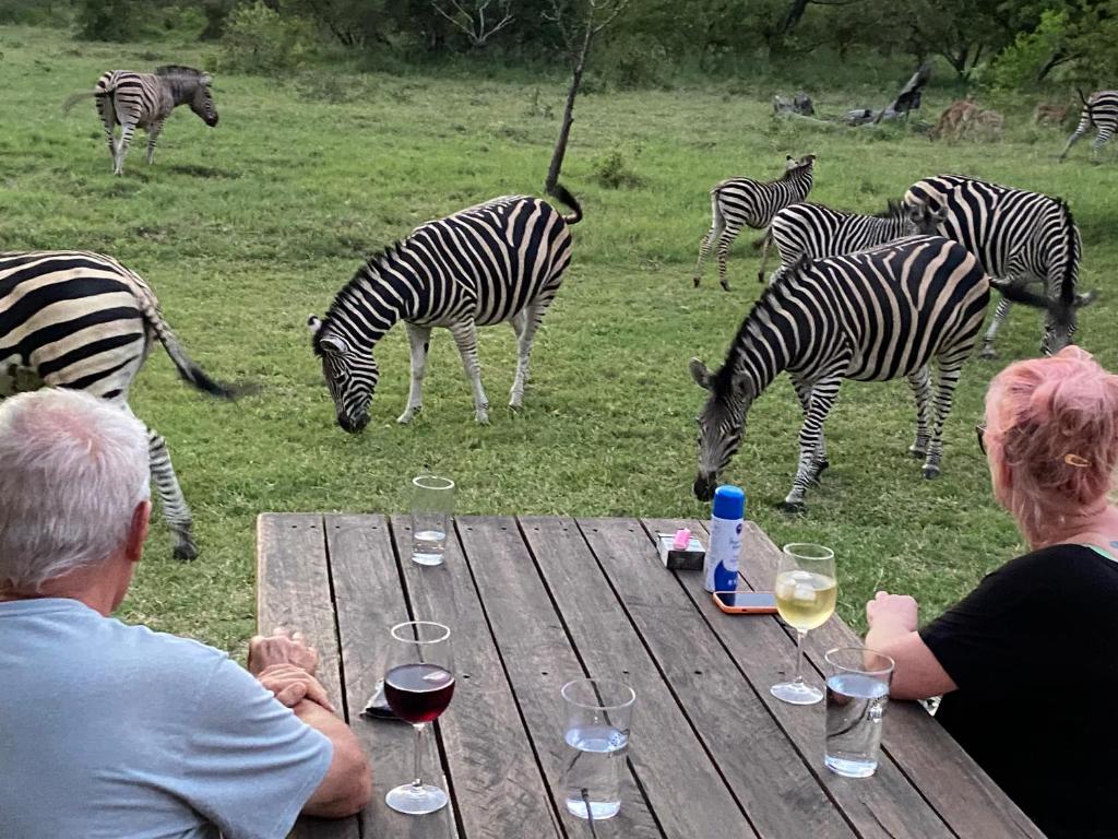 a group of people sitting at a table looking at zebras at Sunset Lodge & Safaris in Guernsey Nature Reserve