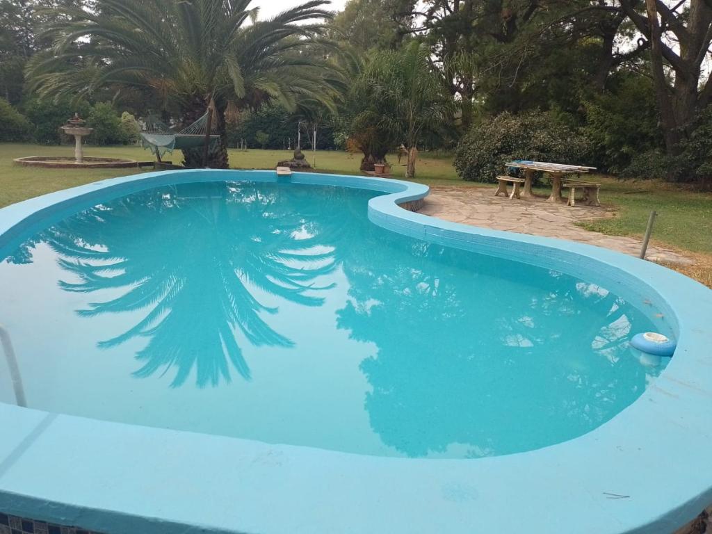una gran piscina azul con una mesa de picnic en un parque en Quinta Don Alfredo en Tandil