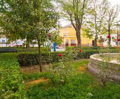 Vonkajšia záhrada v ubytovaní Casa Pablo -Granada-