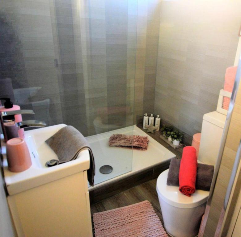 a bathroom with a shower and a toilet and a sink at Cockleshell Chalet in Kidwelly