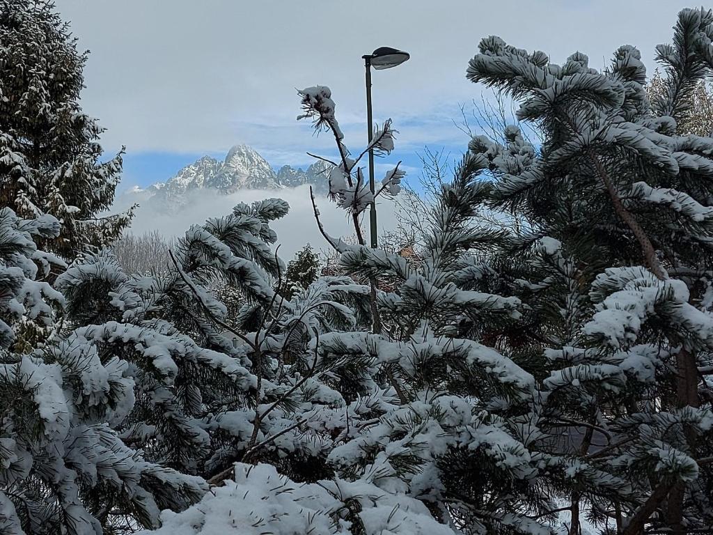 un árbol cubierto de nieve con una montaña en el fondo en Apartmán Filip - Pod Lesom, en Vysoké Tatry
