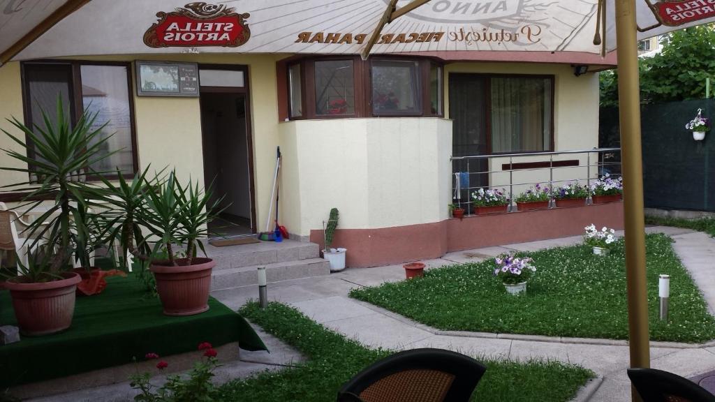 a house with potted plants in front of it at Vila Raduinea in Eforie Nord