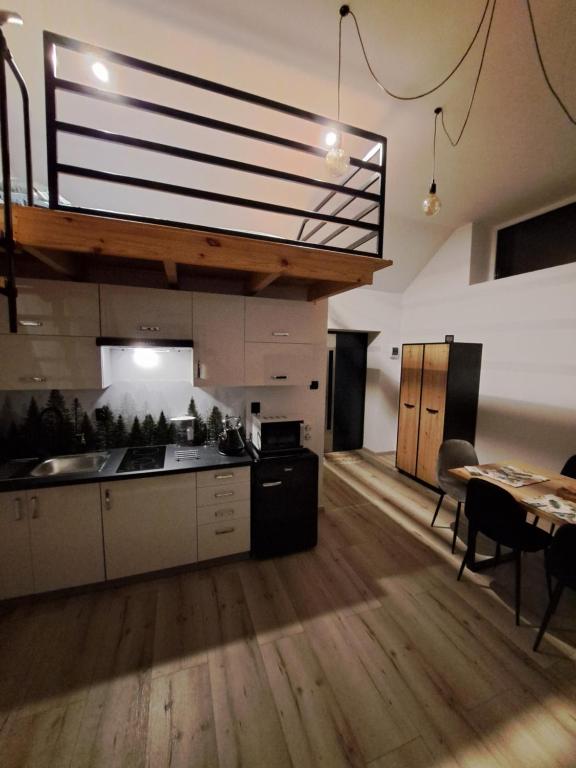 Kuchyňa alebo kuchynka v ubytovaní Apartament z antresolą