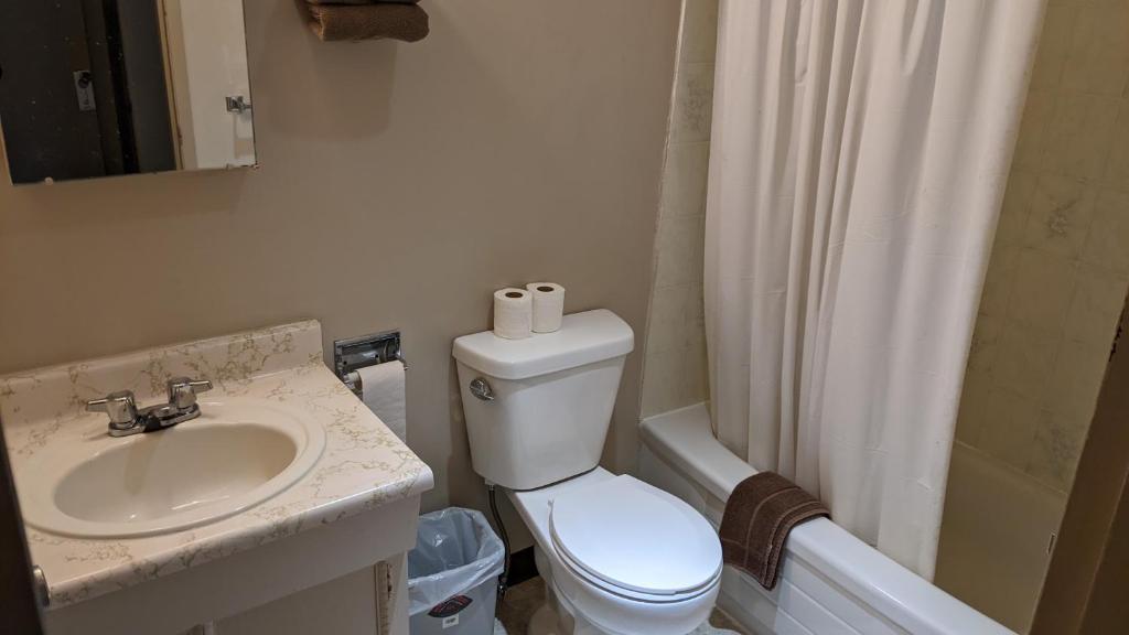 a bathroom with a toilet and a sink and a shower at Singing Surf Inn & Pub in Massett