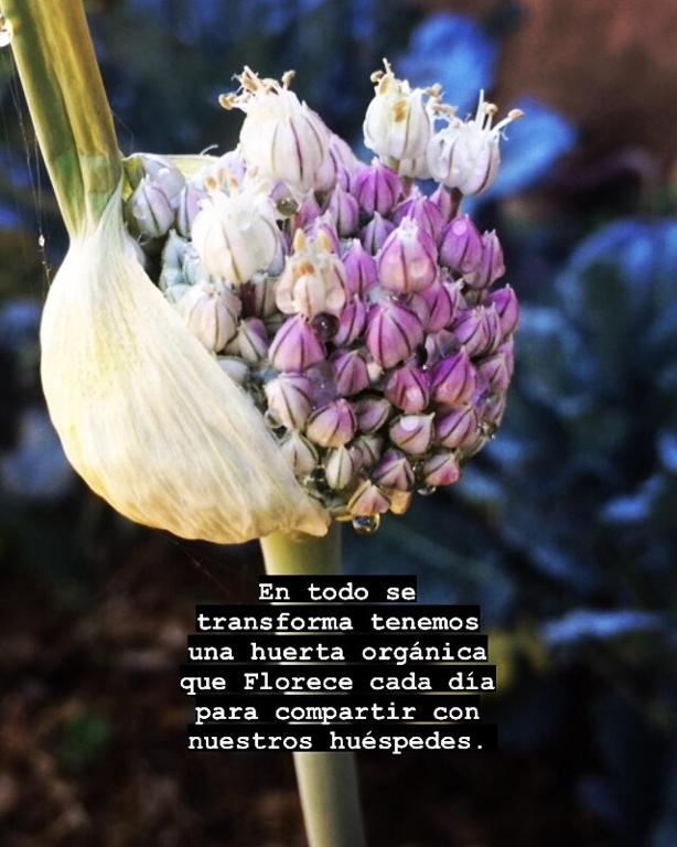 Fotografie z fotogalerie ubytování Todo se transforma v destinaci Cuchilla Alta