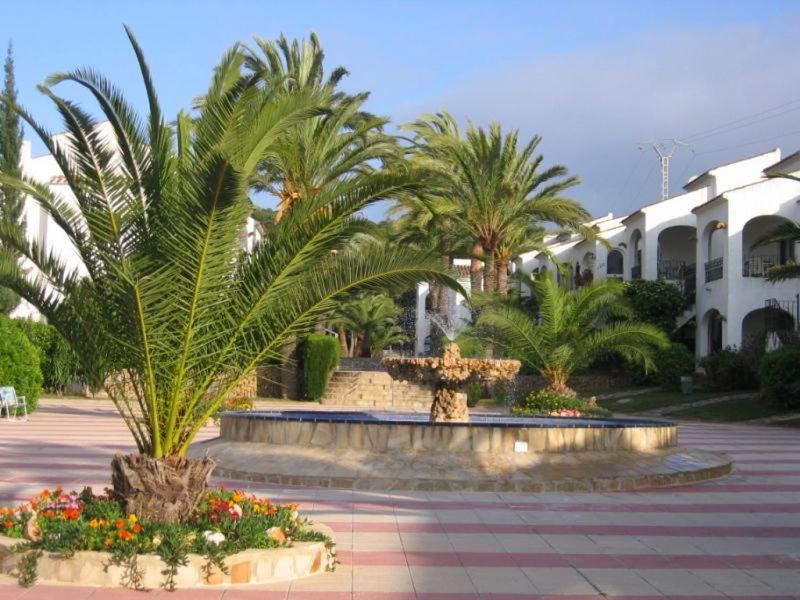 a courtyard with palm trees and a building at Casita Pepe in Jávea
