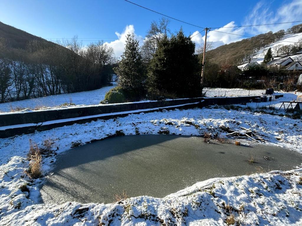 a pool of water in a snow covered yard at Y Felin Bed and Breakfast and Smallholding in Caersws