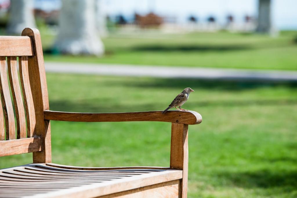 Fotografie z fotogalerie ubytování Sealine Beach, a Murwab Resort v destinaci Mesaieed