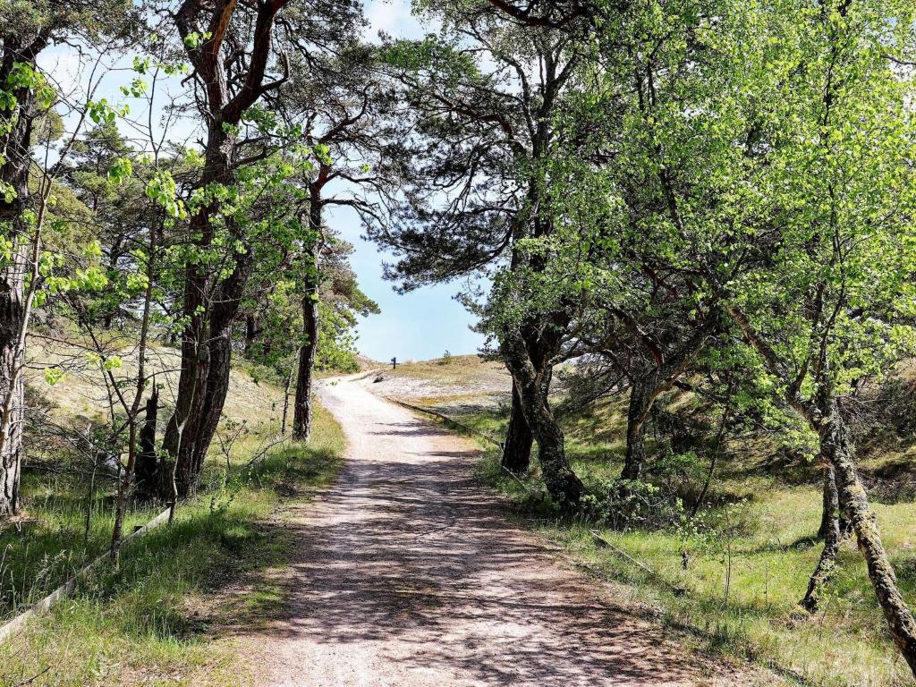 een onverharde weg met bomen aan weerszijden bij Holiday home YNGSJÖ in Yngsjö