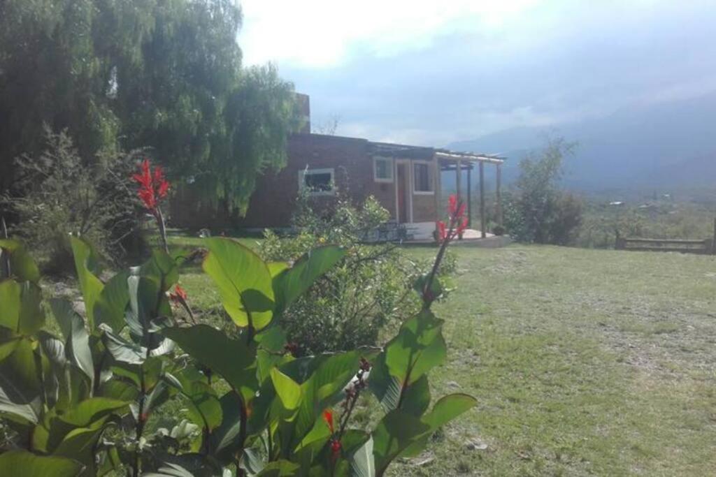 una casa en un campo al lado de un patio en fatima cabaña 4personas en Villa Las Rosas