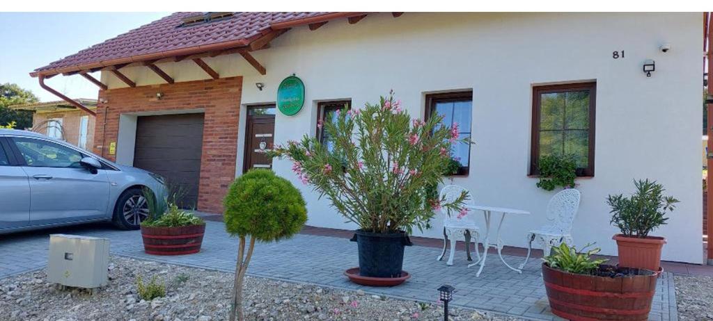 Zahrada ubytování Patak Vendégház