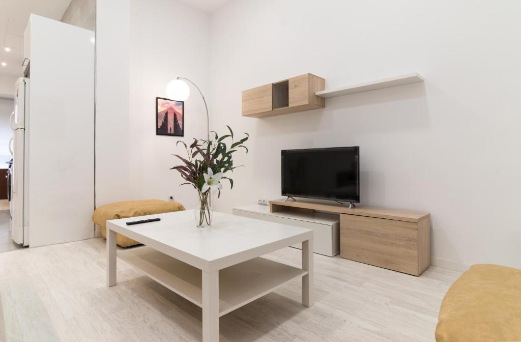 TV a/nebo společenská místnost v ubytování Acogedor y Comodo apartamento Madrid A/C