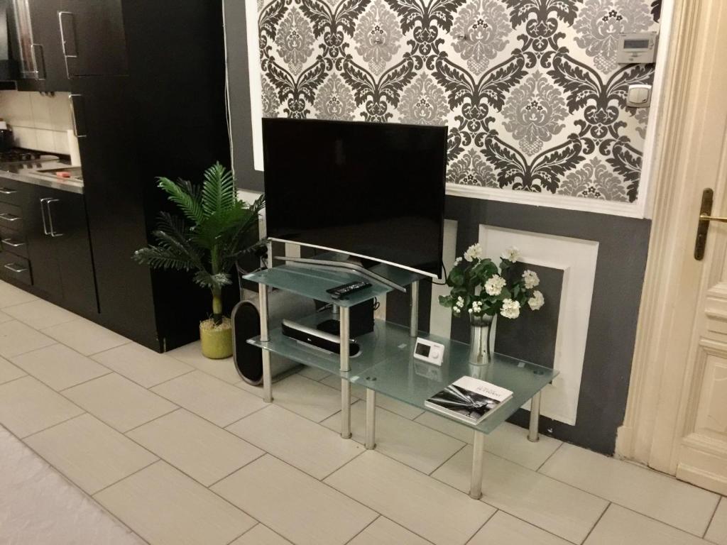 Kuchyňa alebo kuchynka v ubytovaní Secession Luxury Apartment