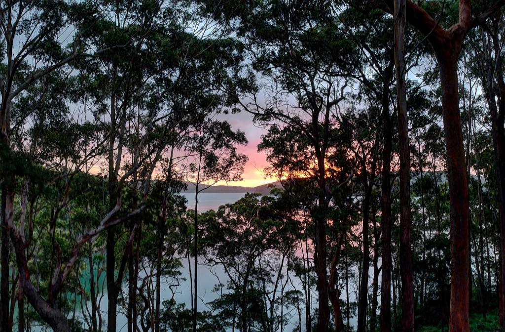 een uitzicht op een zonsondergang door de bomen bij Aqua Vista in Smiths Lake