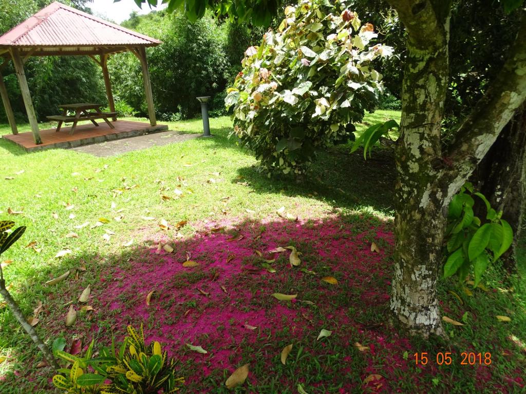 Zahrada ubytování Le gîte du jardin
