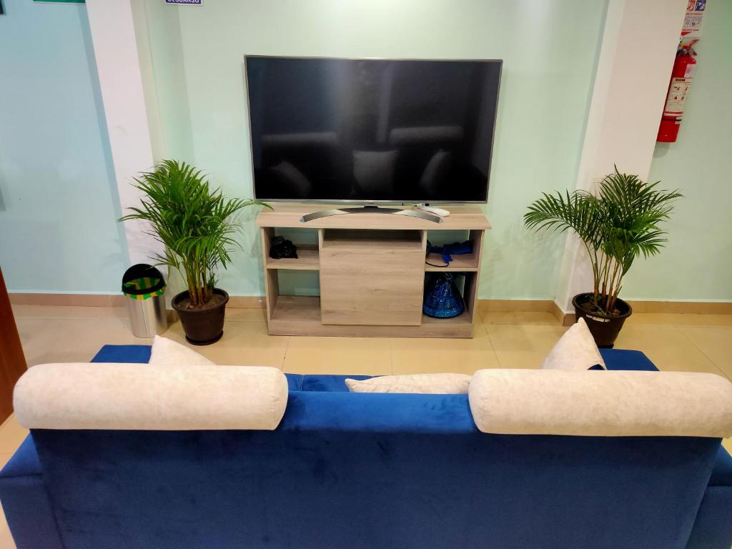 TV a/nebo společenská místnost v ubytování Hostal Valle Andino