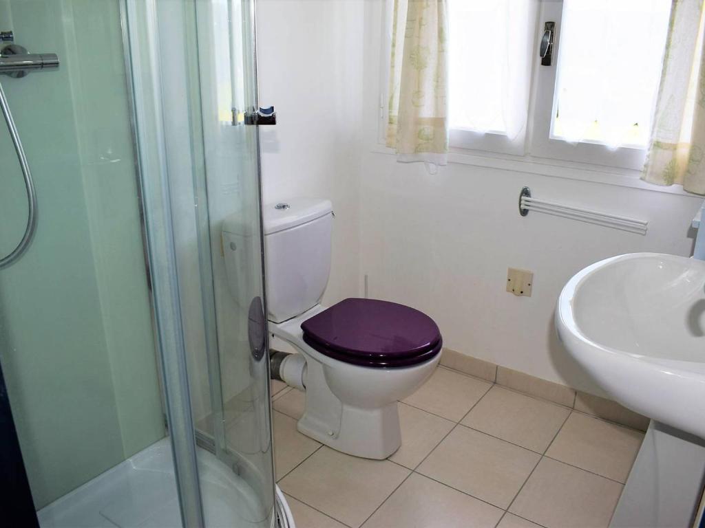 a bathroom with a toilet with a purple seat at Maison Trégastel, 4 pièces, 6 personnes - FR-1-368-106 in Trégastel
