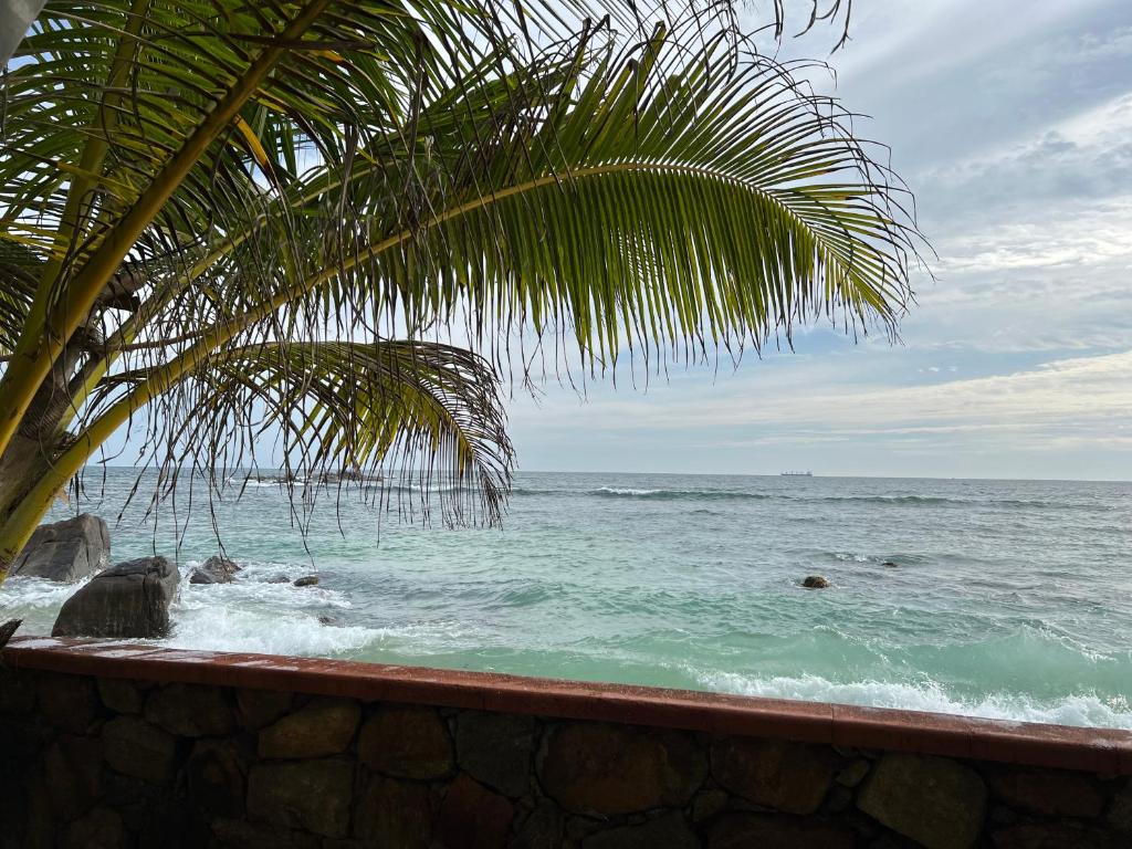 a view of the ocean with a palm tree at La Veranda Di Serena in Unawatuna