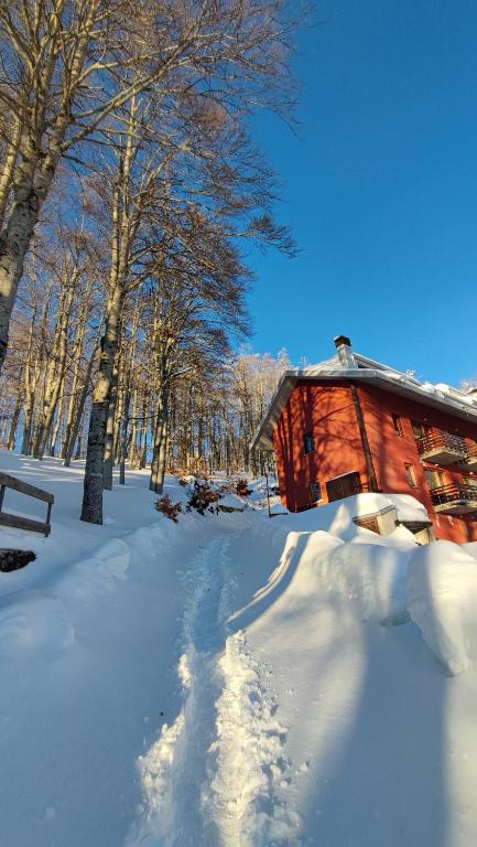 Attico Stella Alpina v zimě