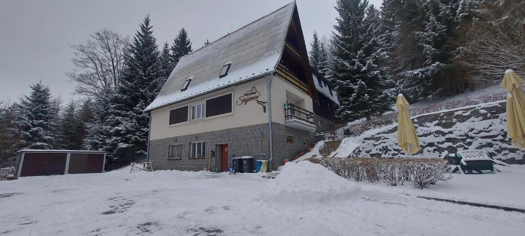 a house in the snow with a pile of snow at Penzion Svojanov in Svojanov