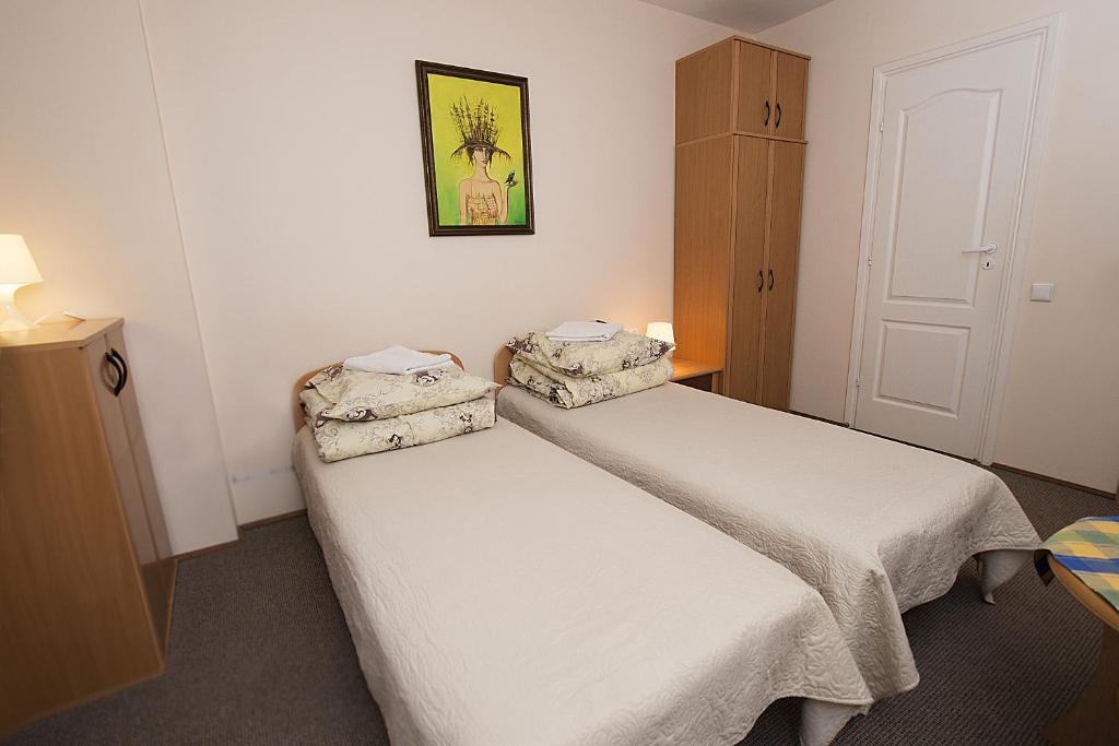 Drusva Apartamentai - Double Or Twin Room