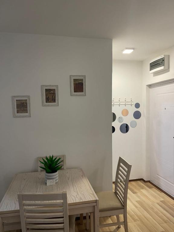 Stan na dan Valjevo centar - Apartamento De Un Dormitorio