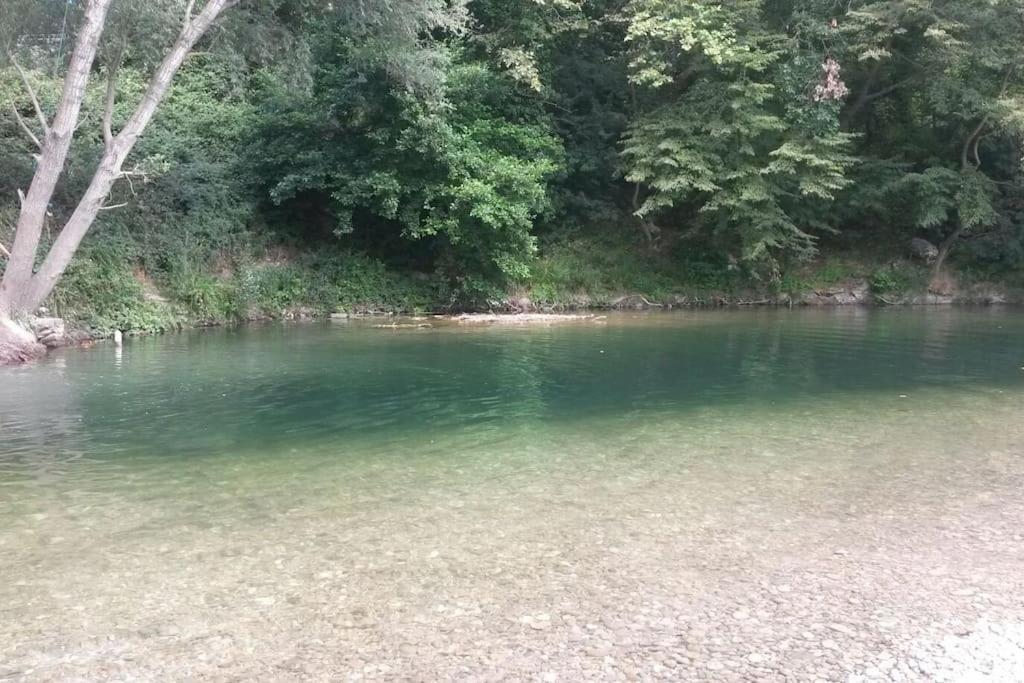 Príroda v okolí dovolenkového domu
