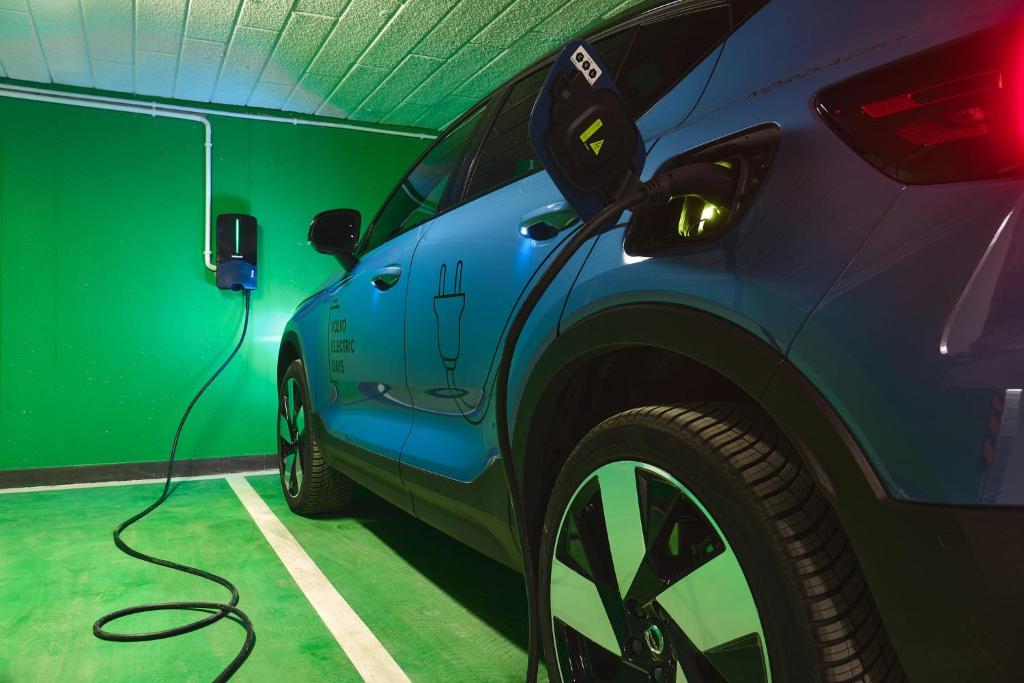 Hotel Traugutta3 - Resim 10