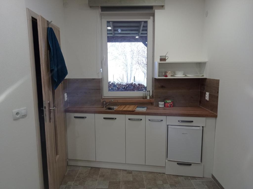 Kuchyň nebo kuchyňský kout v ubytování Apartmány Skala