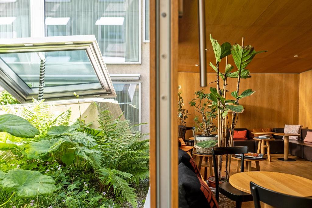Zahrada ubytování Nomad Design & Lifestyle Hotel