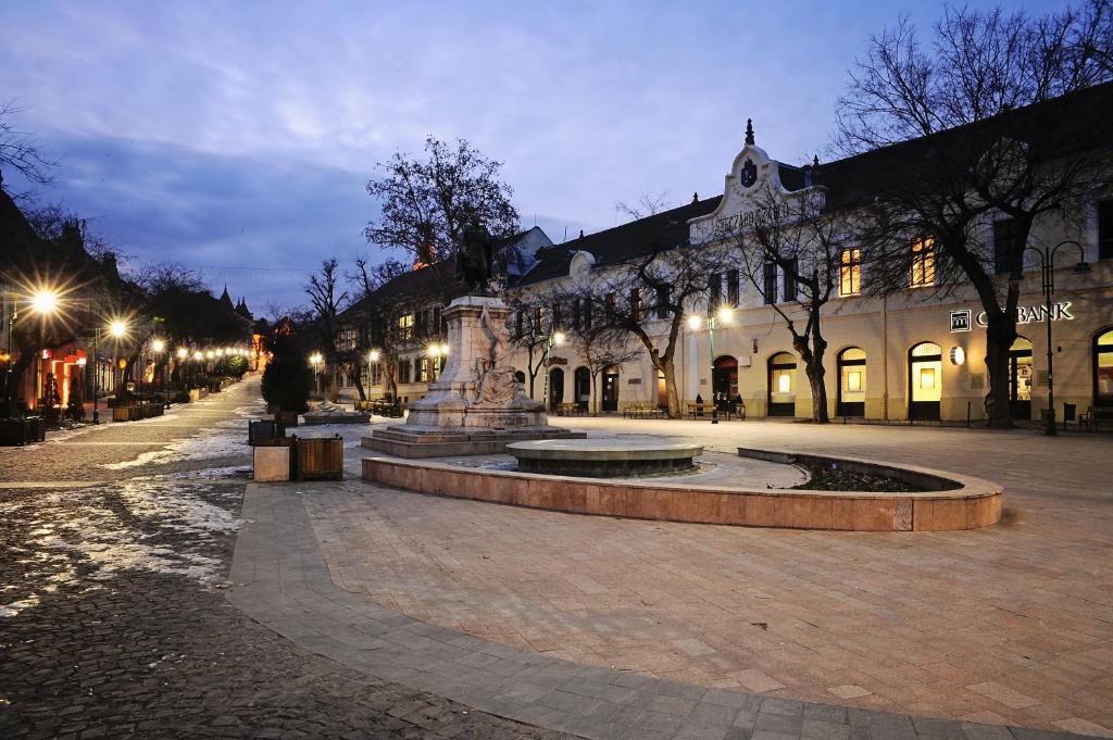 una fuente en medio de una calle por la noche en Szekszárd Szálló, en Szekszárd