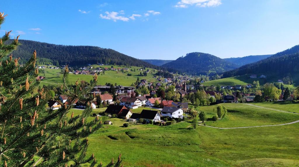 un pequeño pueblo en un campo verde con árboles en Ferienwohnung, Sauna & Gästekarte gratis im Schwarzwald, en Baiersbronn
